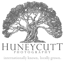 honeycutt photography logo