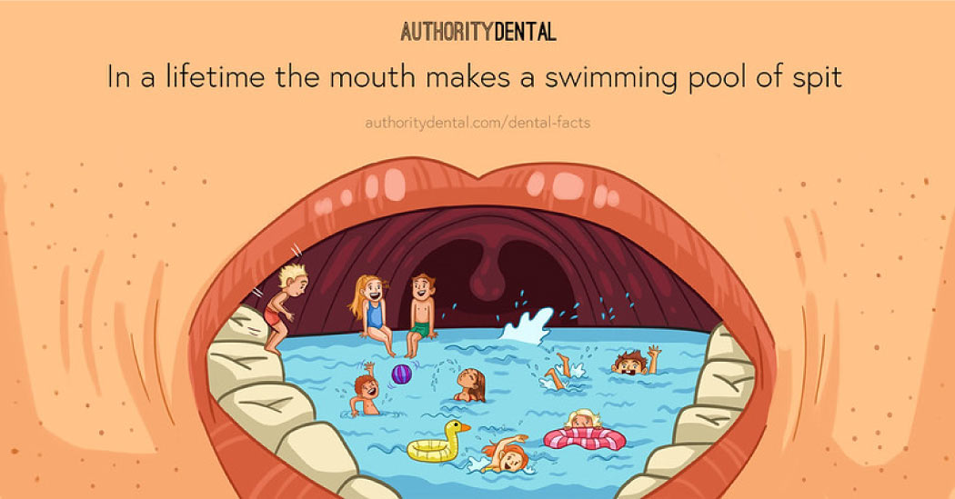 A cartoon showing a swimming pool in the mouth depicting the amount of saliva produced.